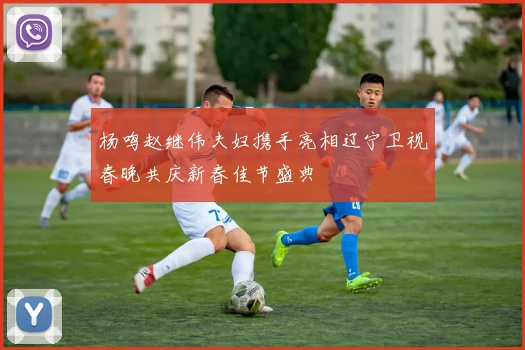 杨鸣赵继伟夫妇携手亮相辽宁卫视春晚共庆新春佳节盛典